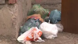 Сюжет ТСН24: Ираклий Маградзе не выдержал критики Алексея Дюмина