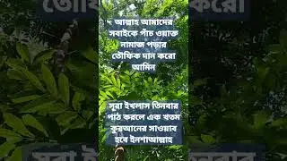 #সুরা #ইখলাস#shorts#short#shortsfeed