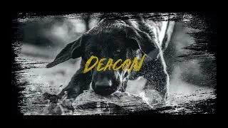 Deacon