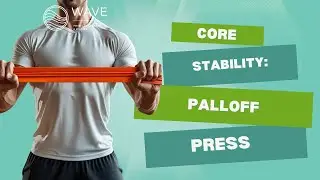 Palloff Press for Core Stability: Safe, Effective Entry-Level Exercise You Can Progress