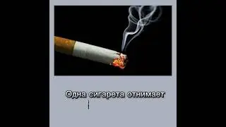 #интересные факты