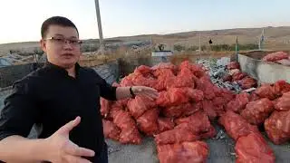 Как выглядит мусороперерабатывающий завод в Талдыкоргане и зачем поставили новые урны на Арбате?
