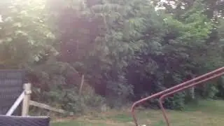 Summer Evening