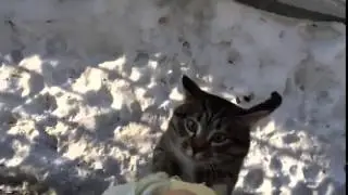 Самые лучшие приколы 2015