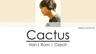N - Cactus (Han|Rom|Czech