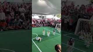 SPQR Team - soccer robots - never give up