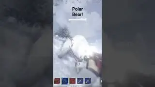 When polar bears attack 
