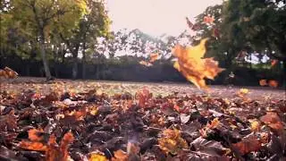 По улице моей который год