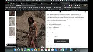 WooCommerce TUTO - Attach FURGONETKA map to free shipping method and hide other shipping option 1