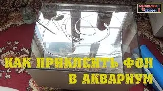 Как приклеить фон на аквариум
