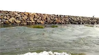 River mouth #beach #seafood #fishing #rivermouth #kovalam