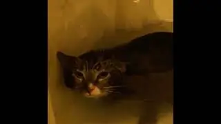Mlem