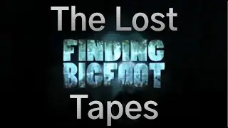 The Finding Bigfoot Files