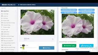Add noise image in image - imageonline.co