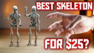 Is this the best Skeleton Figure for $25?? - Shooting and Reviewing