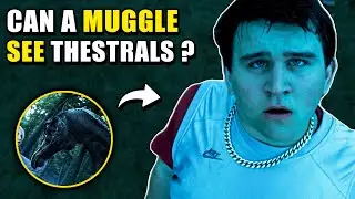Can Muggles See THESTRALS? - Harry Potter Theory