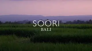 Introduction to Soori Bali