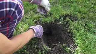 ПОБЕДИЛ КРОТА с помощью кротоловки ТАЛПЕР.