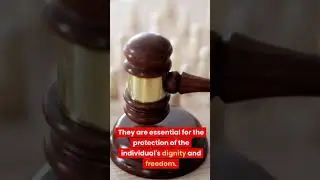Understanding Fundamental Rights: A Simplified Guide