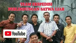 VIDEO DAN FOTO EDITAN#ANIMASI BERGERAK#KINEMASTER#GREEN SCREEN