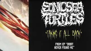 SONIC SEA TURTLES - TAKING IT ALL BACK (OFFICIAL VISUALIZER)