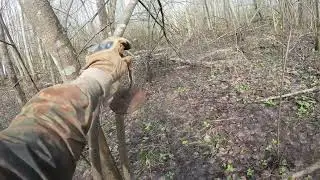 Коп по войне Серия 228 Монетный денёк