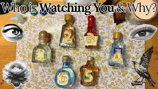 Who is Watching You and Why?? 🔮Pick a Card 👁️