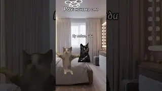 #рекомендации