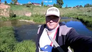 Голавлиный жор