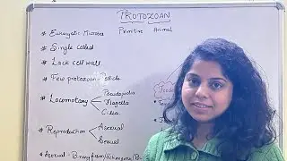 Protozoan | Protozoan characterstics