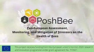 Laboratory experiments on pesticide exposure and pollen diet effects on bees [PoshBee training]
