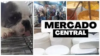 Conhecendo o Mercado Central Bh