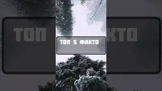 Топ 5 фактов о зиме / интересные факты о снеге