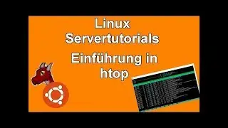 Ubuntu 18.04 Server | Der Linuxtaskmanger: htop