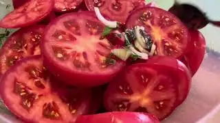 Очень вкусная закуска из помидор !🍅 Не устаю готовить .