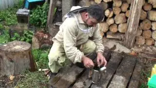 Пасеки белорусов. Гурбо Григорий