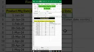 Calculate Expiry date with EDATE Formula in Excel | #ExcelTips #ExcelShorts