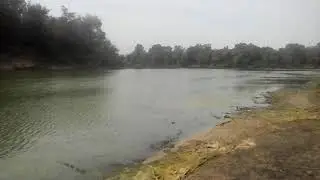 Место где река Воронеж впадает в Дон