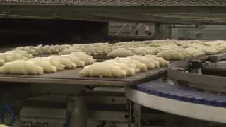 CROISSANTS - Pastry Production Line