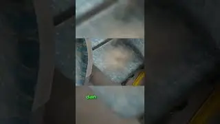 Sekilas terlihat bersih tapi...