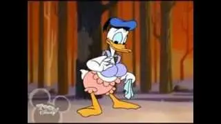 Donald The Sexy Lure