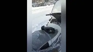 охота на касулю, закрытие сезона!!!