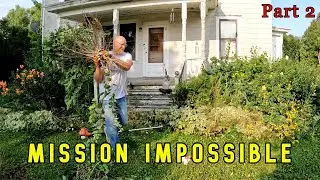 This Old Farm House Is TRANSFORMED For FREE!  Completely OUT OF CONTROL.  #lawncare #beforeandafter