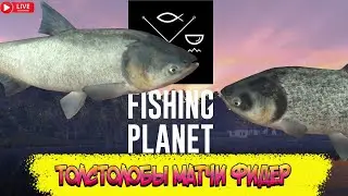 FISHING PLANET (FP)- ТОСТОЛОБЫ МАТЧИ ФИДЕР ЛОВИМ В УДОВОЛЬСТВИЕ