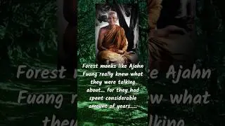 Illness as our teacher for contemplation and to uproot our attachments