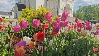 Идеи ландшафтного дизайна для весеннего сада.