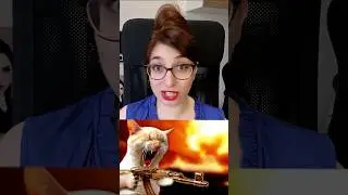 L'ARMA GATTO