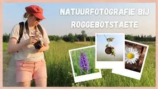 NATUURFOTOGRAFIE BIJ ROGGEBOTSTAETE 🌼 📸 🌼