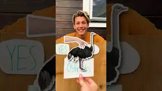 *EXTREME* YES OR NO Dares VS My GF (Animal Edition) 