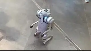 😄 Робот-собачка в Зарядье
